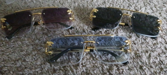 Glasses