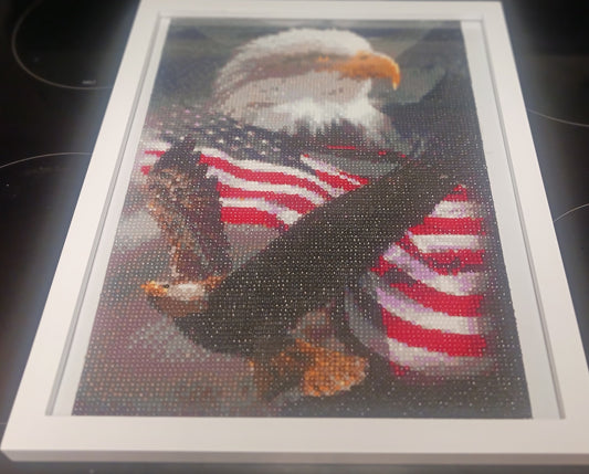 Diamond Art American Eagle Picture